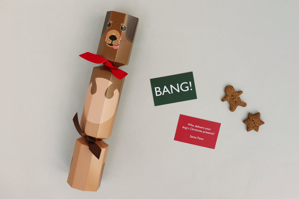 dog christmas cracker no bang