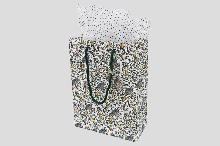 luxury paper christmas gift bag