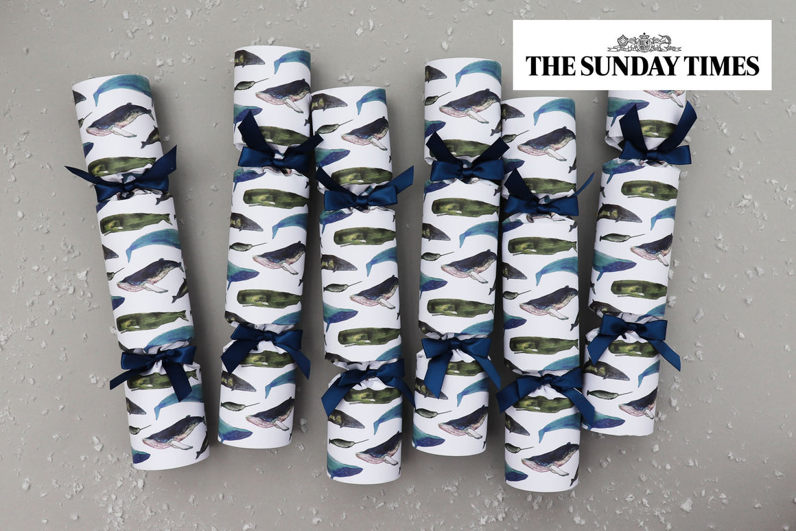 winter whales luxury christmas crackers